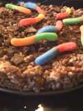 sunshine's earth worm cocoa krispies squares