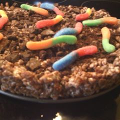 A picture of sunshine's earth worm cocoa krispies squares.