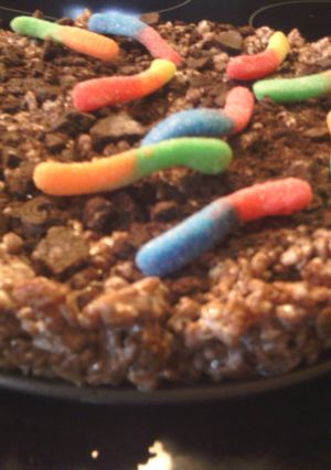 A picture of sunshine's earth worm cocoa krispies squares.