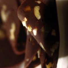 A picture of Chocolate Salami.
