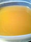 Lobster stock