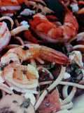 Linguini w/shrimp and plum tomatoes