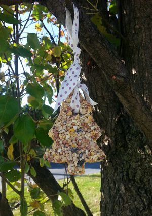 A picture of " Bird Feed Ornaments. ".