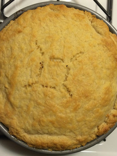 A picture of Turkey Pie (with a flakey buttery pie crust).