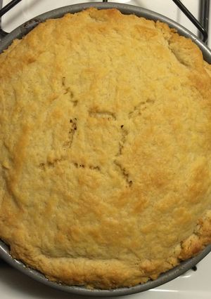 A picture of Turkey Pie (with a flakey buttery pie crust).