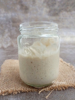 Foto resep Sourdough Starter/Levain