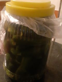 عکسی از دستور خیارشور خونگی