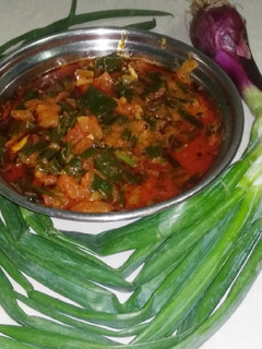 લીલી ડુંગળી નું શાક(Green onion Shaak Recipe in Gujarati) રેસીપી મુખ્ય ફોટો