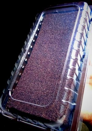 Foto resep Boket(bolu ketan hitam) kukus