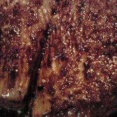 A picture of New Year's Beef Tataki.