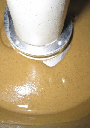 A picture of Sesame Paste in a Food Processor.