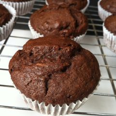 A picture of Chocolate Chip Muffins.