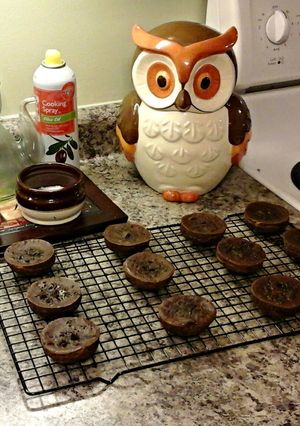 A picture of Chocolate Pudding Brownie Bites.