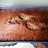 The Best Banana Bread