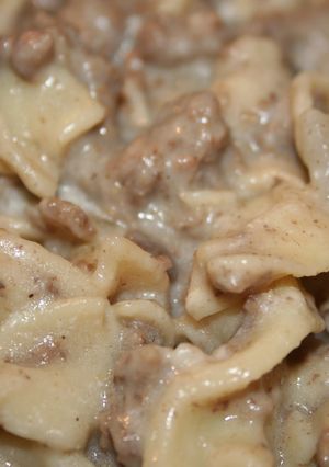 A picture of Hamburger Stroganoff.