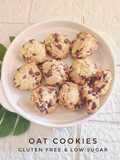Oat Cookies (Enak, Renyah dan Healthy)
