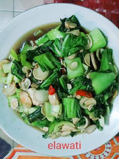 Foto resep Tumis Pakcoy Jamur Merang