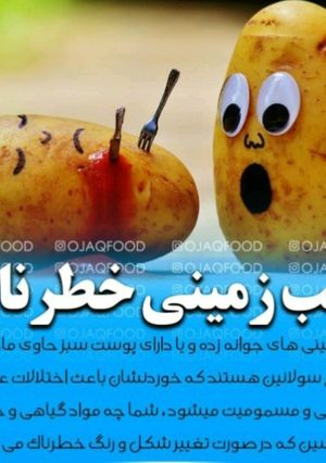 عکسی از دستور خرید سیب زمینی