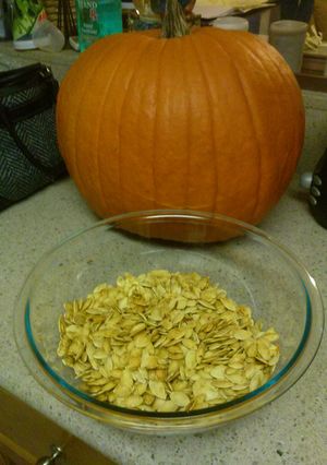 A picture of Momma's simply scrumptious roasted pumpkin seeds.