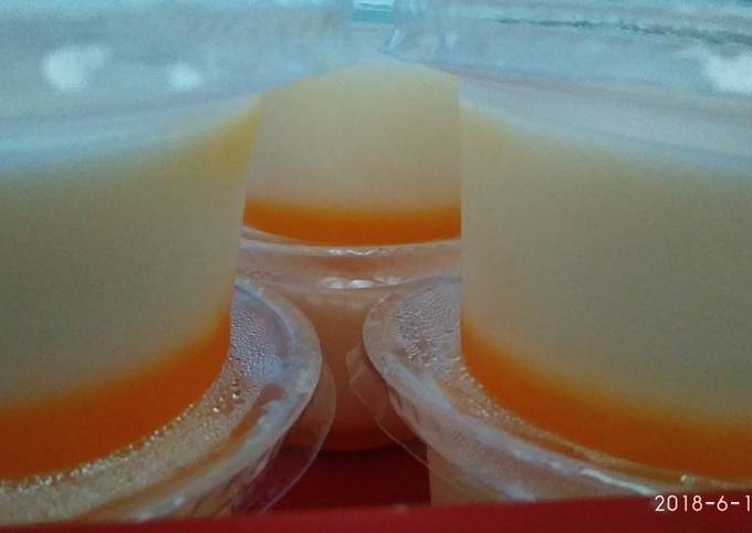 Resep Puding Susu Jeruk Oleh Aning Zamy Cookpad