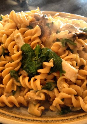 A picture of Pork Stroganoff Pasta.