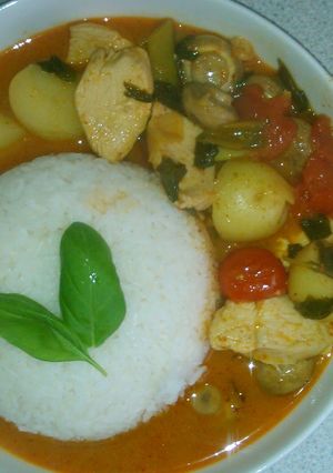 A picture of Thai panang curry.