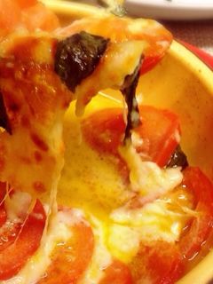 A picture of Tomato and Mozzarella Oven Bake.