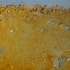 A picture of Chicken n rice casserole.