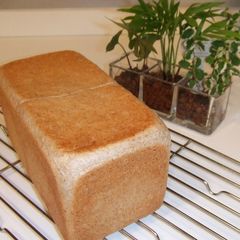 A picture of Whole Wheat Square Loaf - Perfect for Sandwiches.