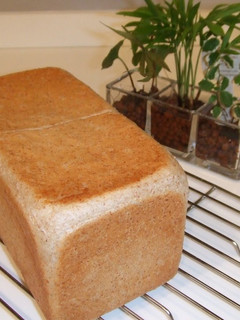 A picture of Whole Wheat Square Loaf - Perfect for Sandwiches.