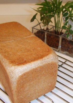 A picture of Whole Wheat Square Loaf - Perfect for Sandwiches.