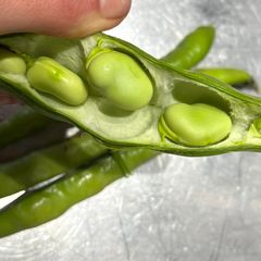 A picture of Broad beans snack (fava beans).