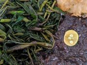 Gambar petis kangkung