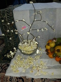 عکسی از دستور درخت پفیلا