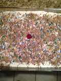 PEPPERMINT CRISP TART ( A South AFrican recipe that is easy and wuick to make)