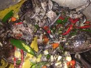 Gambar cumi item blakutak