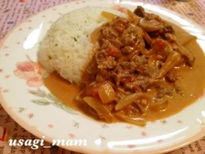 Easy Steps to Make Quick Beef Stroganoff made in a Fry Pan the Can Spoil the Tongue Delicious