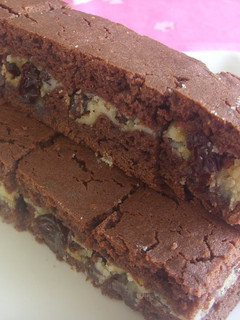 A picture of Raisin Cream Cheese Chocolate Squares.
