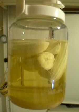 A picture of Easy and Authentic Sangria.