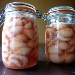A picture of Canned Peaches.