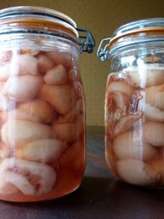 A picture of Canned Peaches.