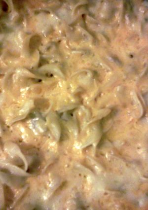 A picture of Creamy Tuna Cassarole.