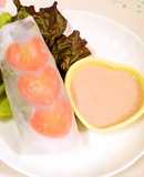 Easy Steamed Chicken and Vegetable Fresh Spring Rolls