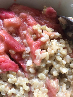 A picture of Rice pudding with rhubarb and ginger - vegan.