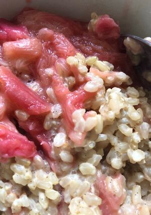A picture of Rice pudding with rhubarb and ginger - vegan.
