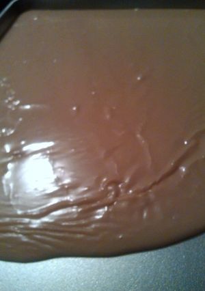 A picture of caramel fudge.