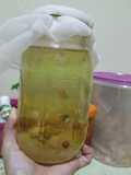 Water kefir