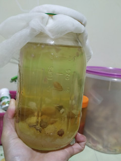 Foto resep Water kefir