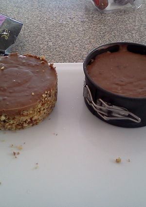 A picture of Coconut chocolate pie.