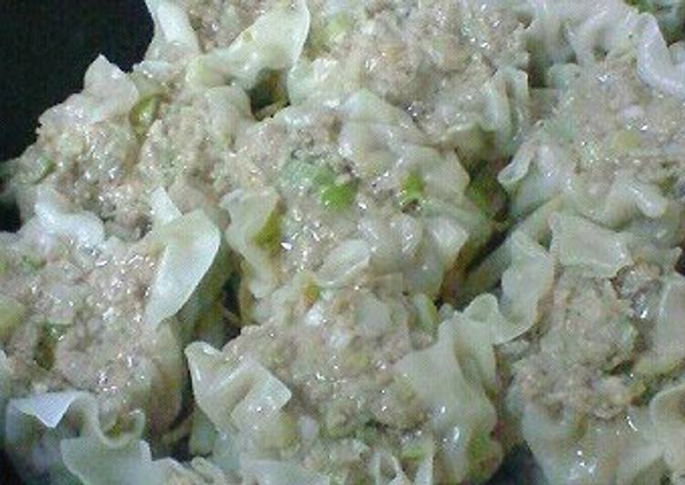 Recipe: Perfect Easy Shumai with a Frying Pan